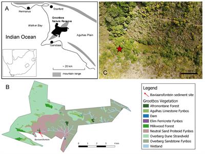 A paleoecological context for forest distribution and restoration in Grootbos Nature Reserve, Agulhas Plain, South Africa